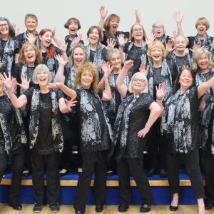 Diamond Harmony Choir