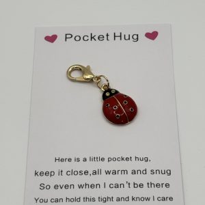 Ladybird Pocket Hugs
